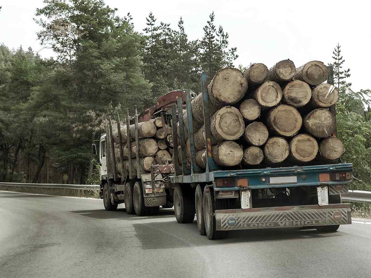 https://fareastinc.express/wp-content/uploads/2017/08/inner_big_trucks_01.jpg